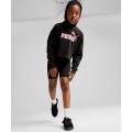 Sudadera Puma 671134 SUDADERA VUELTA COLE 30% 3201/3455