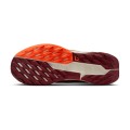 Zapatillas NIKE DV3865 NIKE PEGASUS TRAIL WMNS