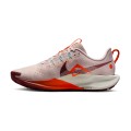 Zapatillas NIKE DV3865 NIKE PEGASUS TRAIL WMNS