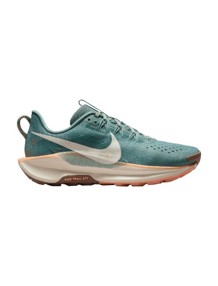Zapatillas Nike DV3865 NIKE PEGASUS TRAIL WMNS