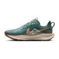 Zapatillas Nike DV3865 NIKE PEGASUS TRAIL WMNS