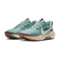 Zapatillas Nike DV3865 NIKE PEGASUS TRAIL WMNS