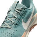Zapatillas Nike DV3865 NIKE PEGASUS TRAIL WMNS